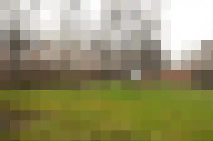 Buitenhof 44 Almere thumbnail 13