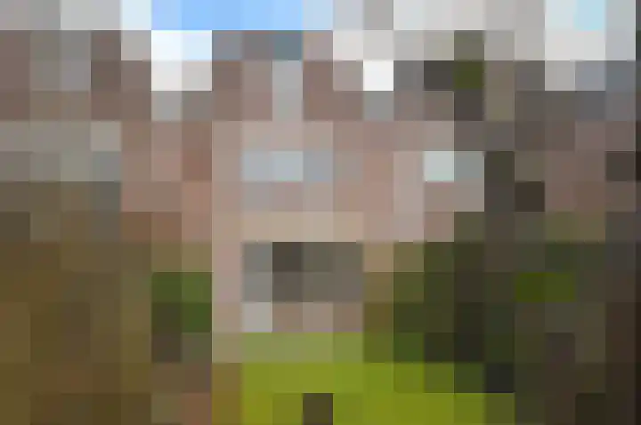 Buitenhof 44 Almere thumbnail 14