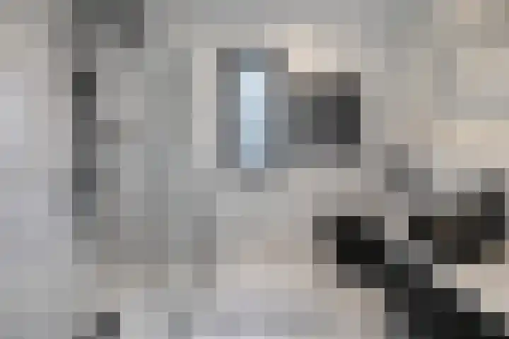 Buitenhof 44 Almere thumbnail 23