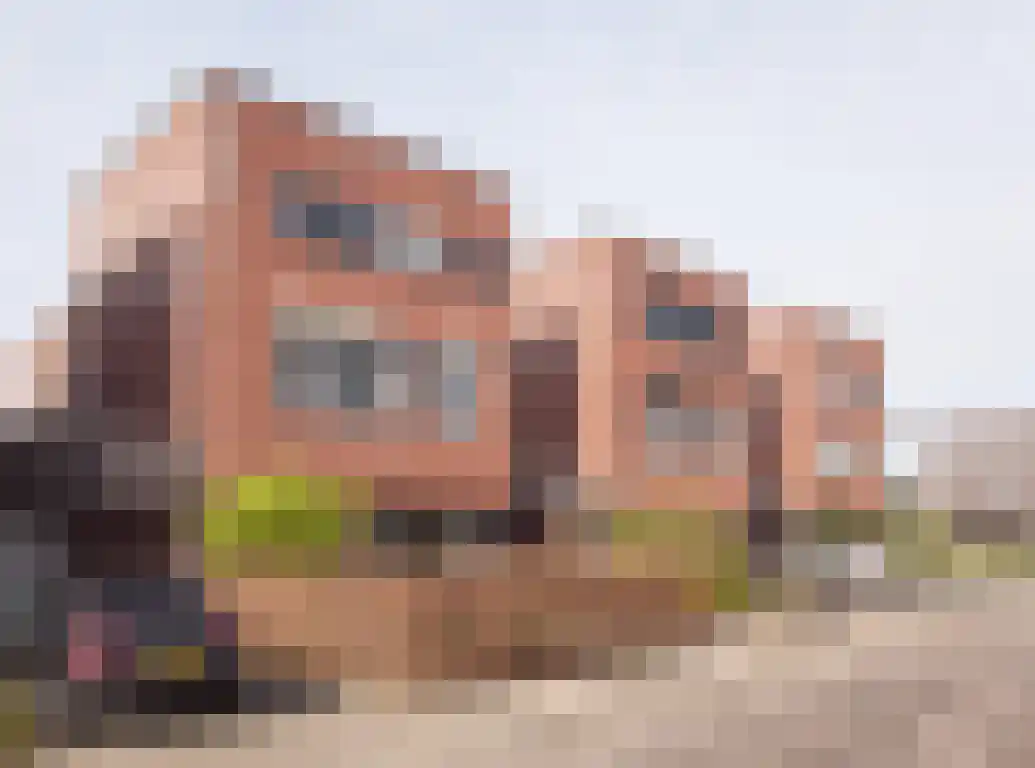 Buitenhof 45 Etten-Leur foto 2
