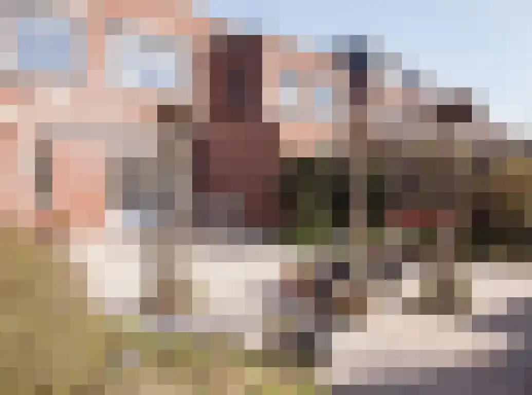 Buitenhof 45 Etten-Leur thumbnail 46