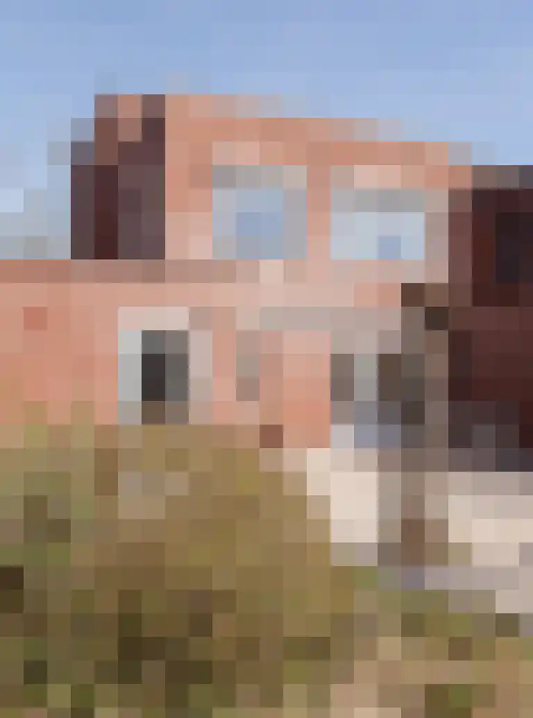 Buitenhof 45 Etten-Leur thumbnail 47