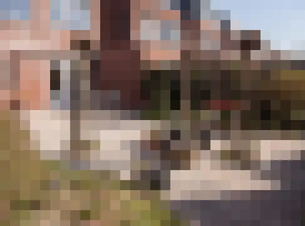 Buitenhof 45 Etten-Leur thumbnail 48