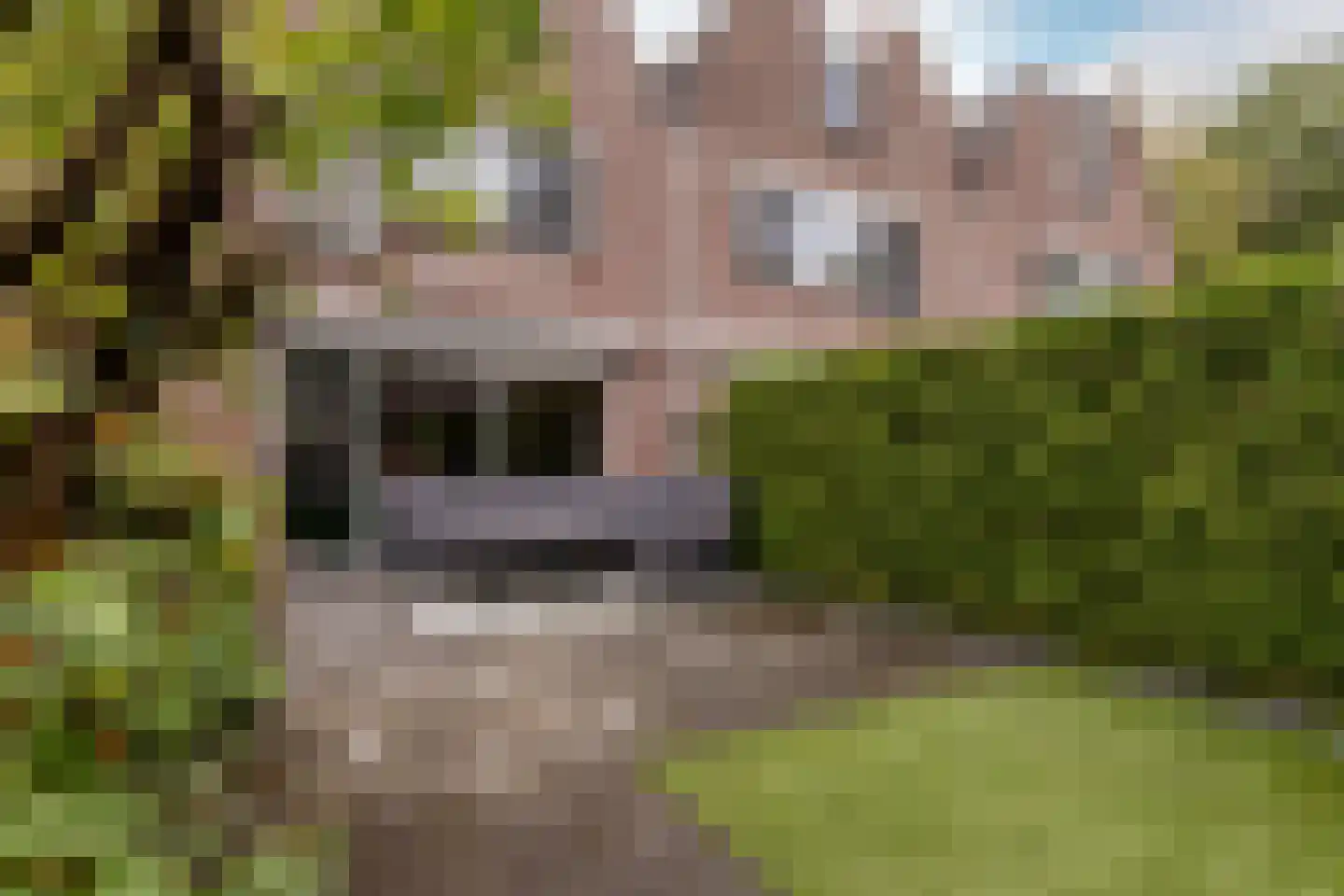 Buitenhof 46 Almere thumbnail 30