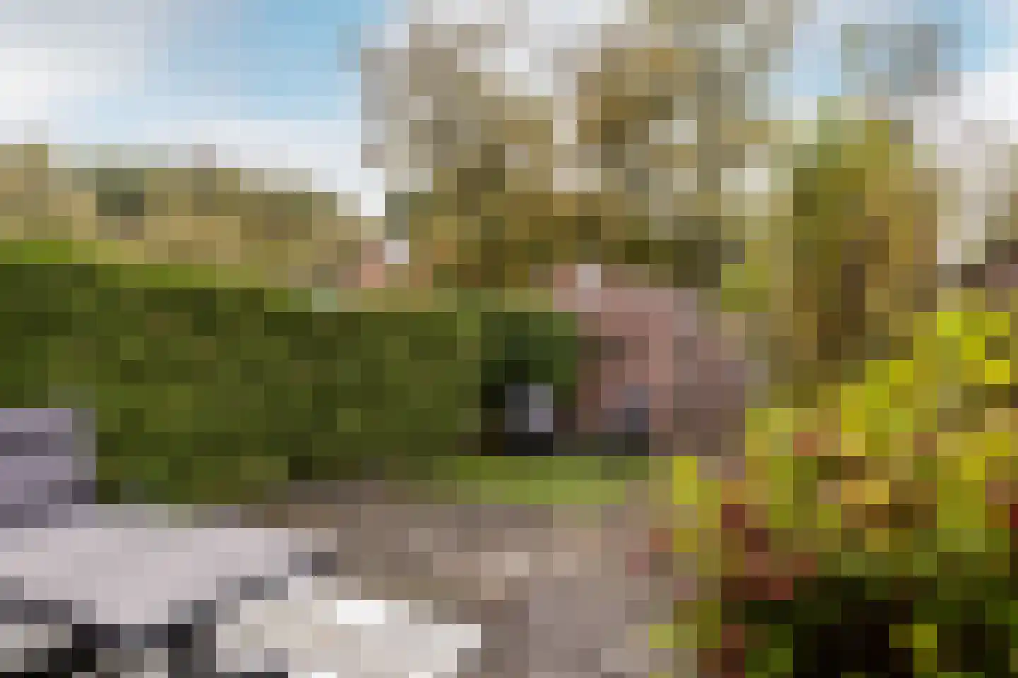 Buitenhof 46 Almere thumbnail 31