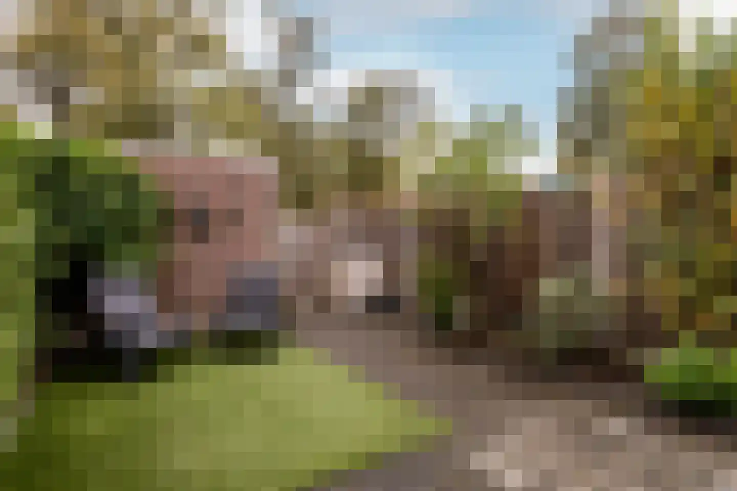 Buitenhof 46 Almere thumbnail 33