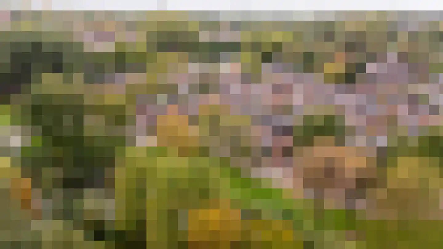 Buitenhof 46 Almere thumbnail 45
