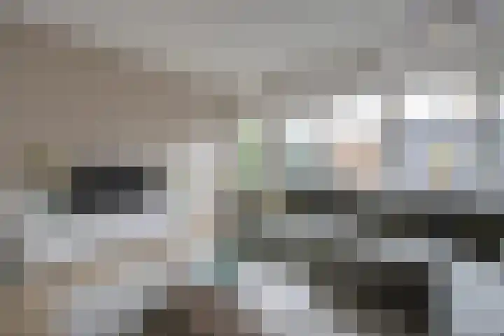 Buitenhof 5 Etten-Leur thumbnail 13