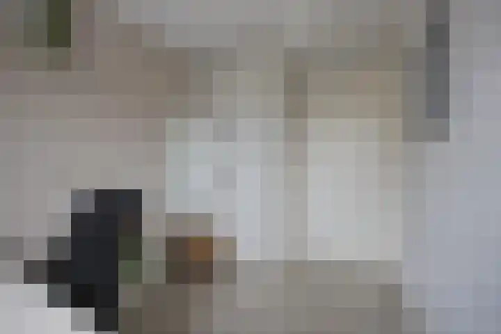 Buitenhof 5 Etten-Leur thumbnail 24
