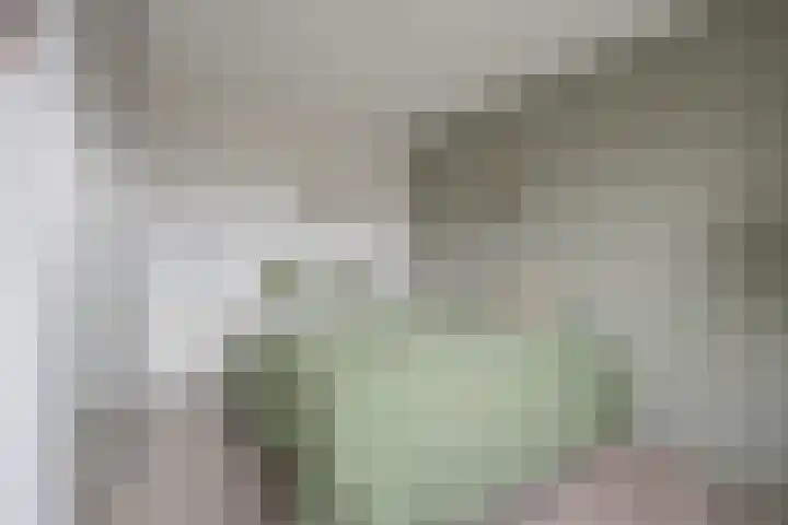 Buitenhof 5 Etten-Leur thumbnail 31