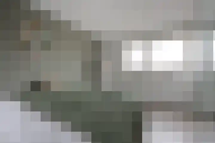 Buitenhof 5 Etten-Leur thumbnail 32