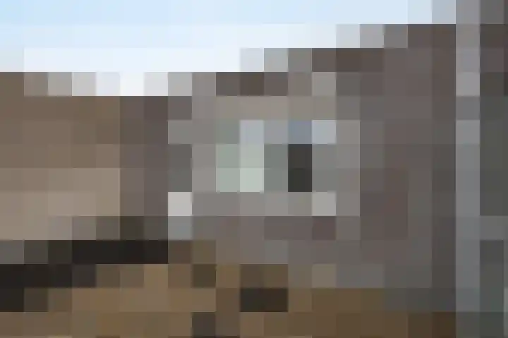 Buitenhof 5 Etten-Leur thumbnail 34