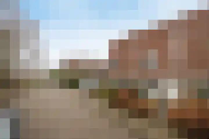 Buitenhof 5 Etten-Leur thumbnail 39