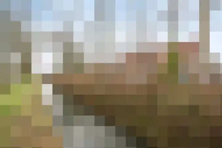 Buitenhof 5 Etten-Leur thumbnail 42