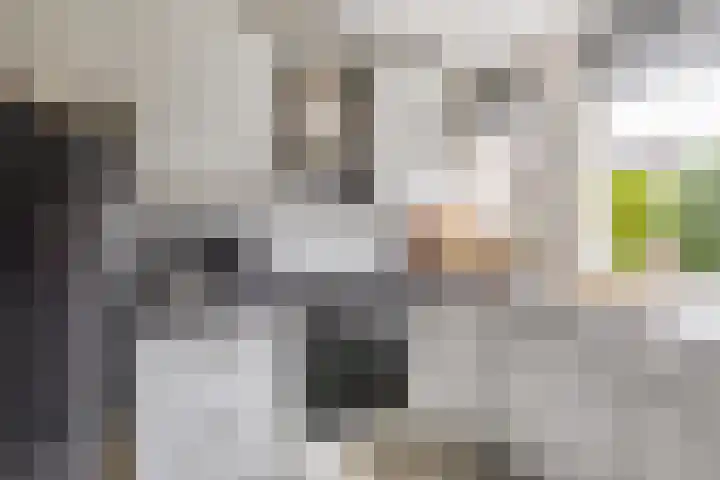 Buitenhof 5 Oostvoorne thumbnail 14