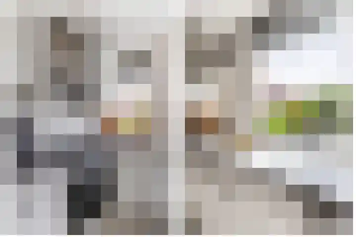 Buitenhof 5 Oostvoorne thumbnail 15