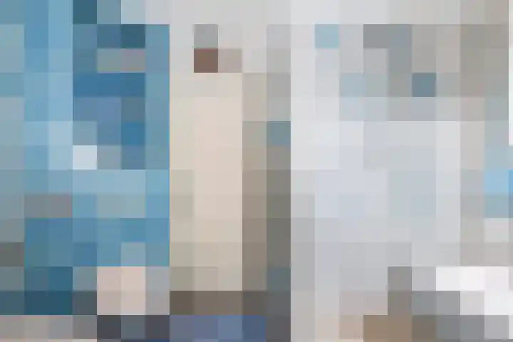 Buitenhof 5 Oostvoorne thumbnail 24