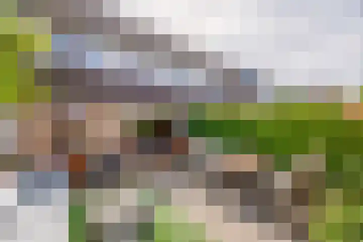 Buitenhof 5 Oostvoorne thumbnail 29
