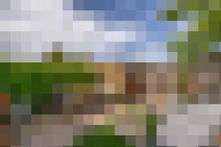 Buitenhof 5 Oostvoorne thumbnail 30