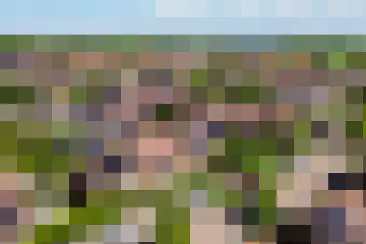 Buitenhof 5 Oostvoorne thumbnail 33