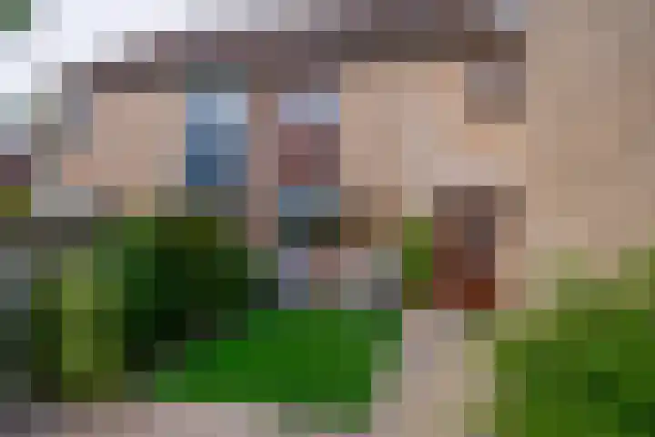 Buitenhof 5 Oostvoorne thumbnail 5