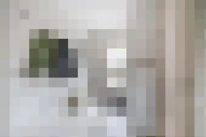 Buitenhof 5 Oostvoorne thumbnail 6