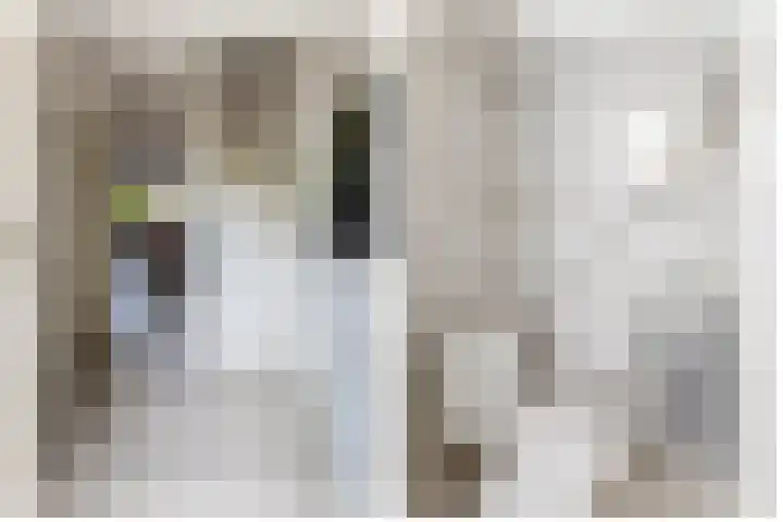Buitenhof 5 Oostvoorne thumbnail 7