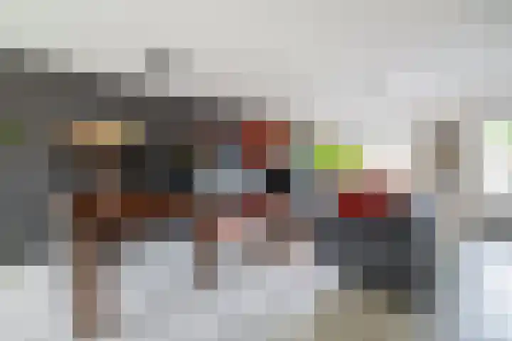 Buitenhof 5 Oostvoorne thumbnail 9