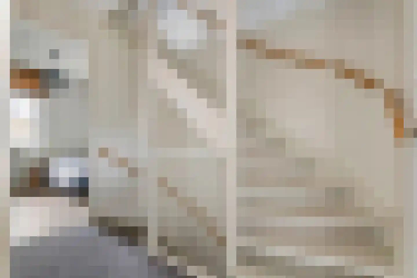 Buitenhof 5 Varik thumbnail 22