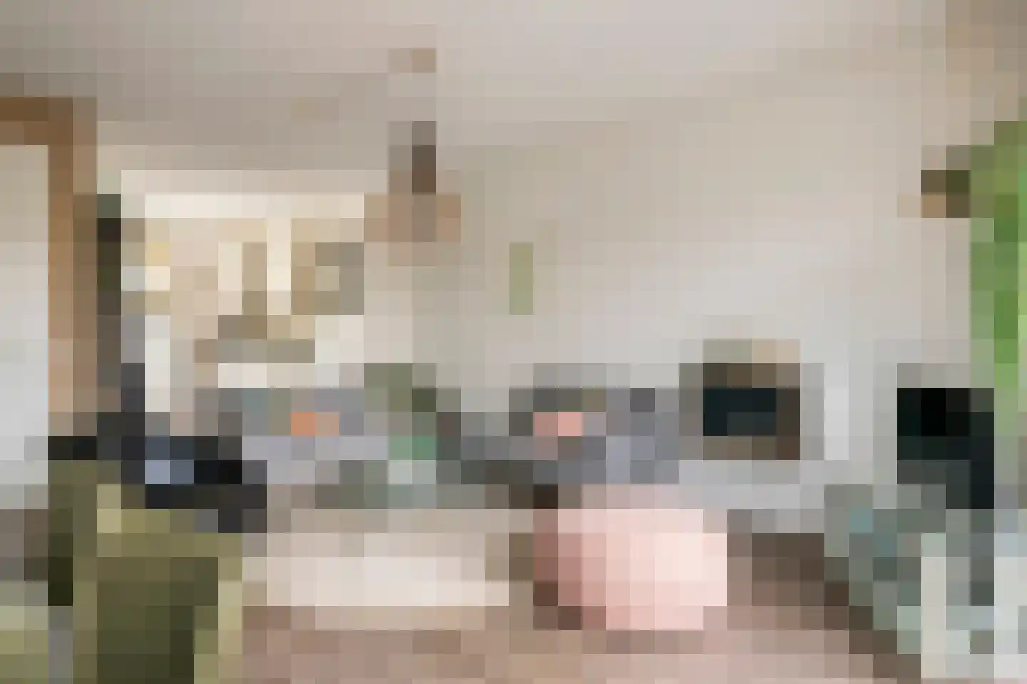 Buitenhof 5 Varik thumbnail 6