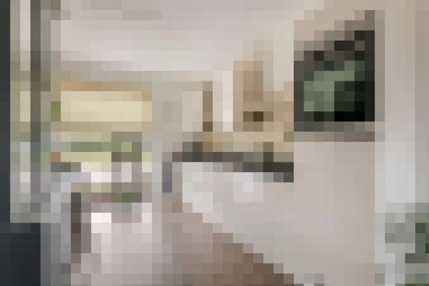 Buitenhof 5 Varik thumbnail 9