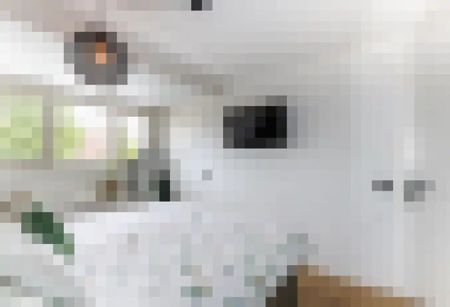 Buitenhof 52 Oostvoorne thumbnail 35