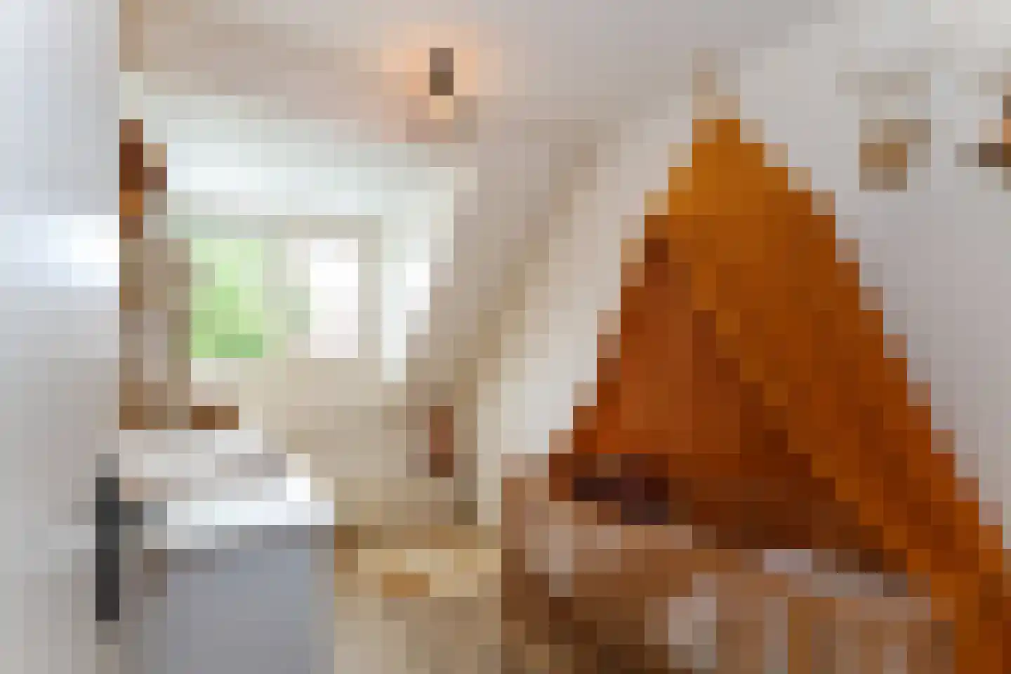 Buitenhof 52 Oostvoorne thumbnail 36
