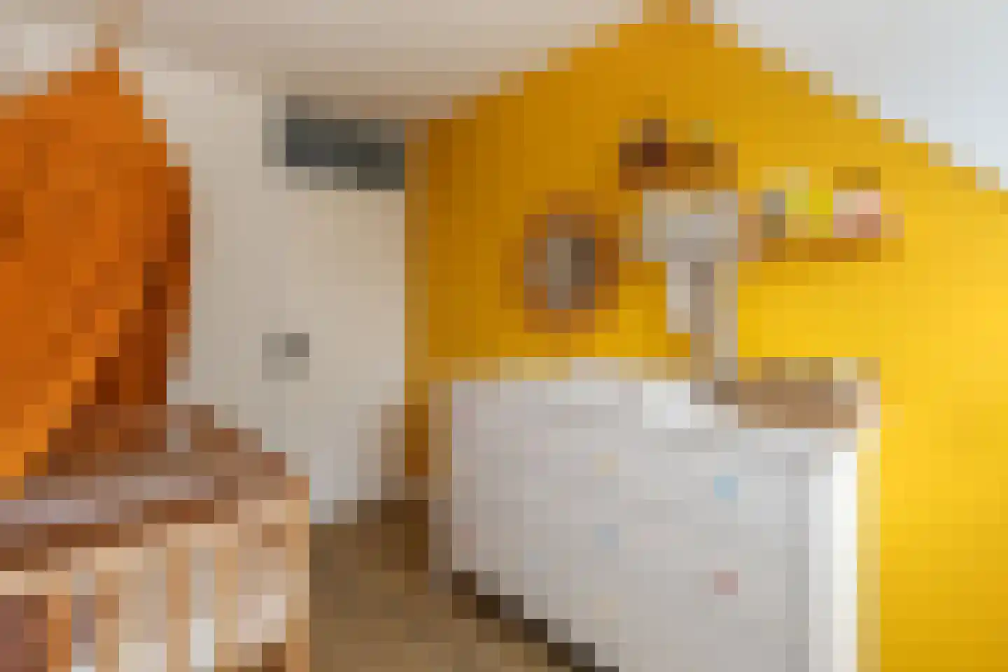 Buitenhof 52 Oostvoorne thumbnail 37