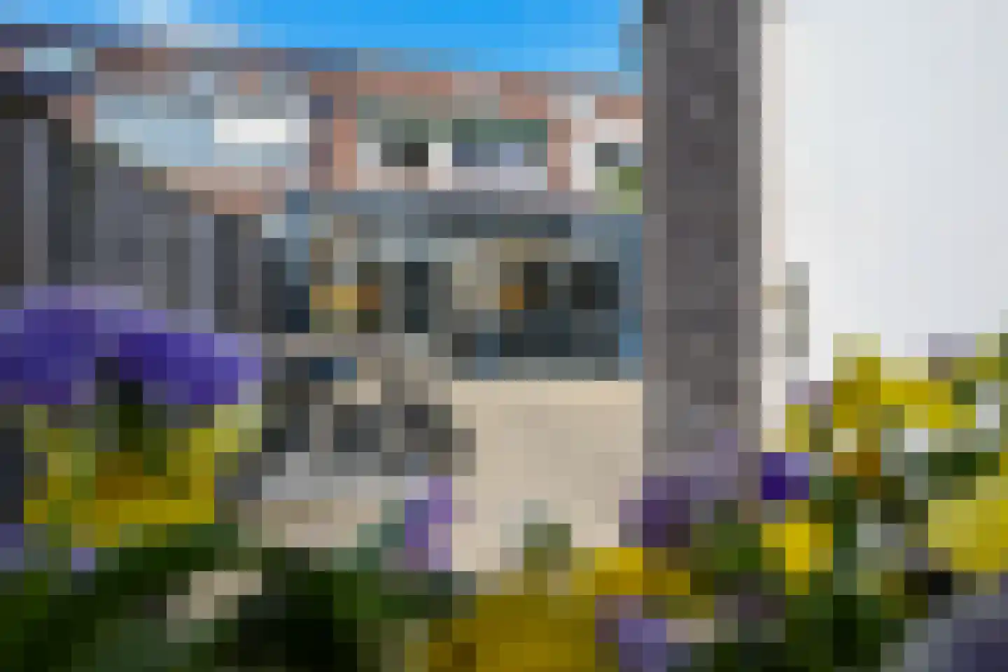Buitenhof 52 Oostvoorne thumbnail 54