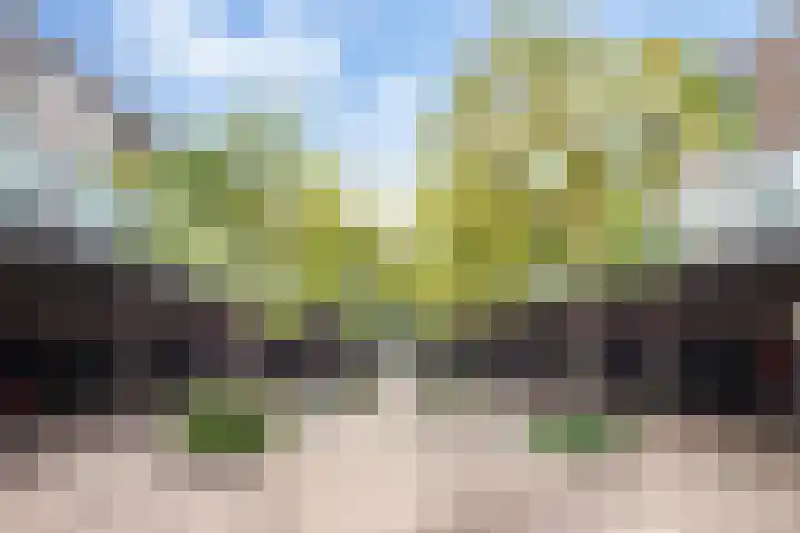 Buitenhof 55 Uithoorn thumbnail 22
