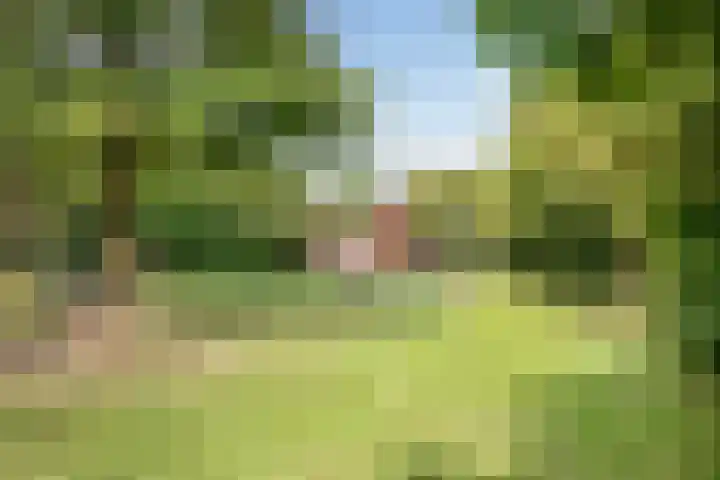 Buitenhof 55 Uithoorn thumbnail 23