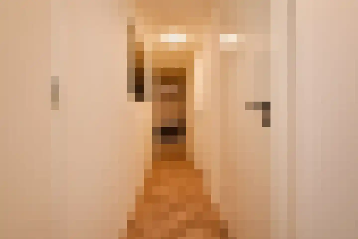 Buitenhof 59 Den Haag thumbnail 8