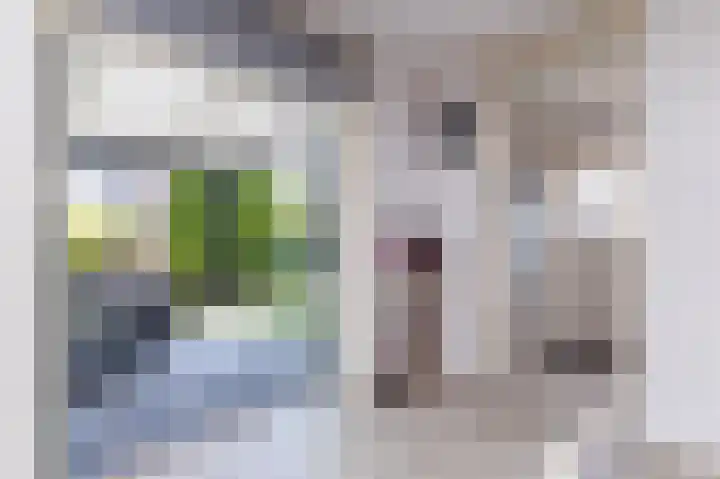 Buitenhof 6 De Goorn thumbnail 16