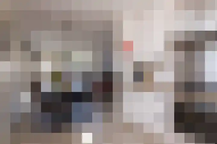 Buitenhof 6 De Goorn thumbnail 18