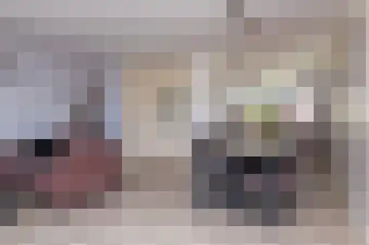 Buitenhof 6 De Goorn thumbnail 21