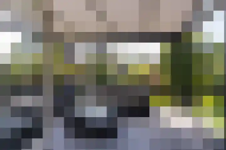 Buitenhof 6 De Goorn thumbnail 22