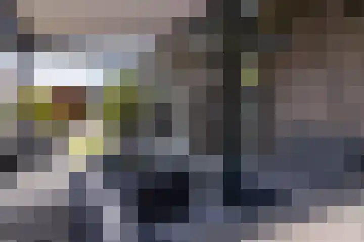 Buitenhof 6 De Goorn thumbnail 23
