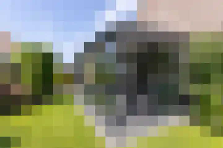 Buitenhof 6 De Goorn thumbnail 24