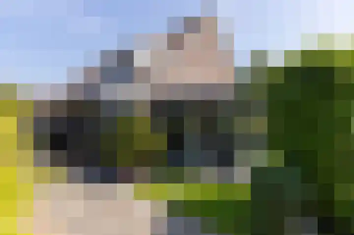 Buitenhof 6 De Goorn thumbnail 25