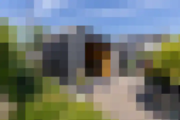 Buitenhof 6 De Goorn thumbnail 28