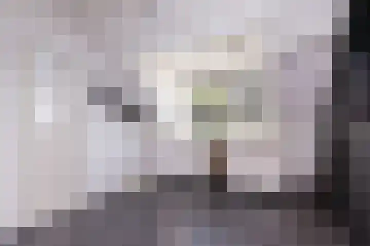 Buitenhof 6 De Goorn thumbnail 48