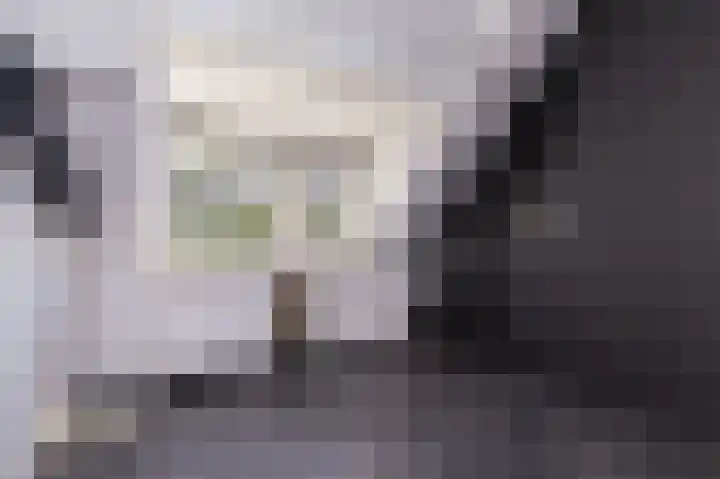 Buitenhof 6 De Goorn thumbnail 49