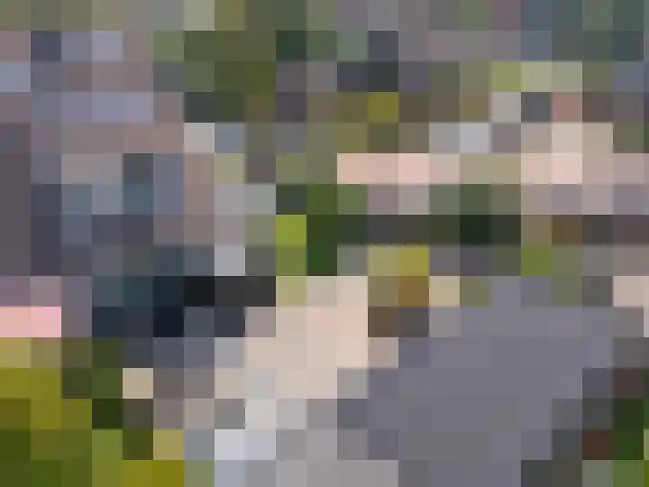 Buitenhof 6 De Goorn thumbnail 5