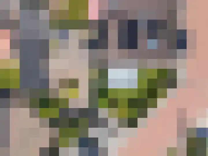 Buitenhof 6 De Goorn thumbnail 52